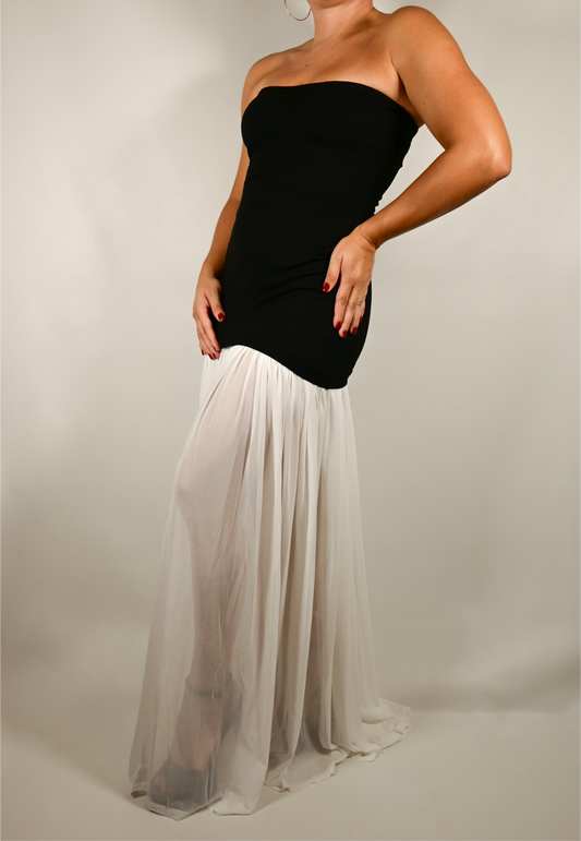 Genevieve Tube Maxi Dress